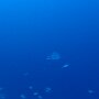 PB010038
