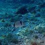P9220132