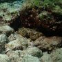 P9220206