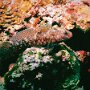 P9230255